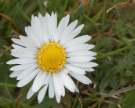 Ostern / Fr&uuml;hling